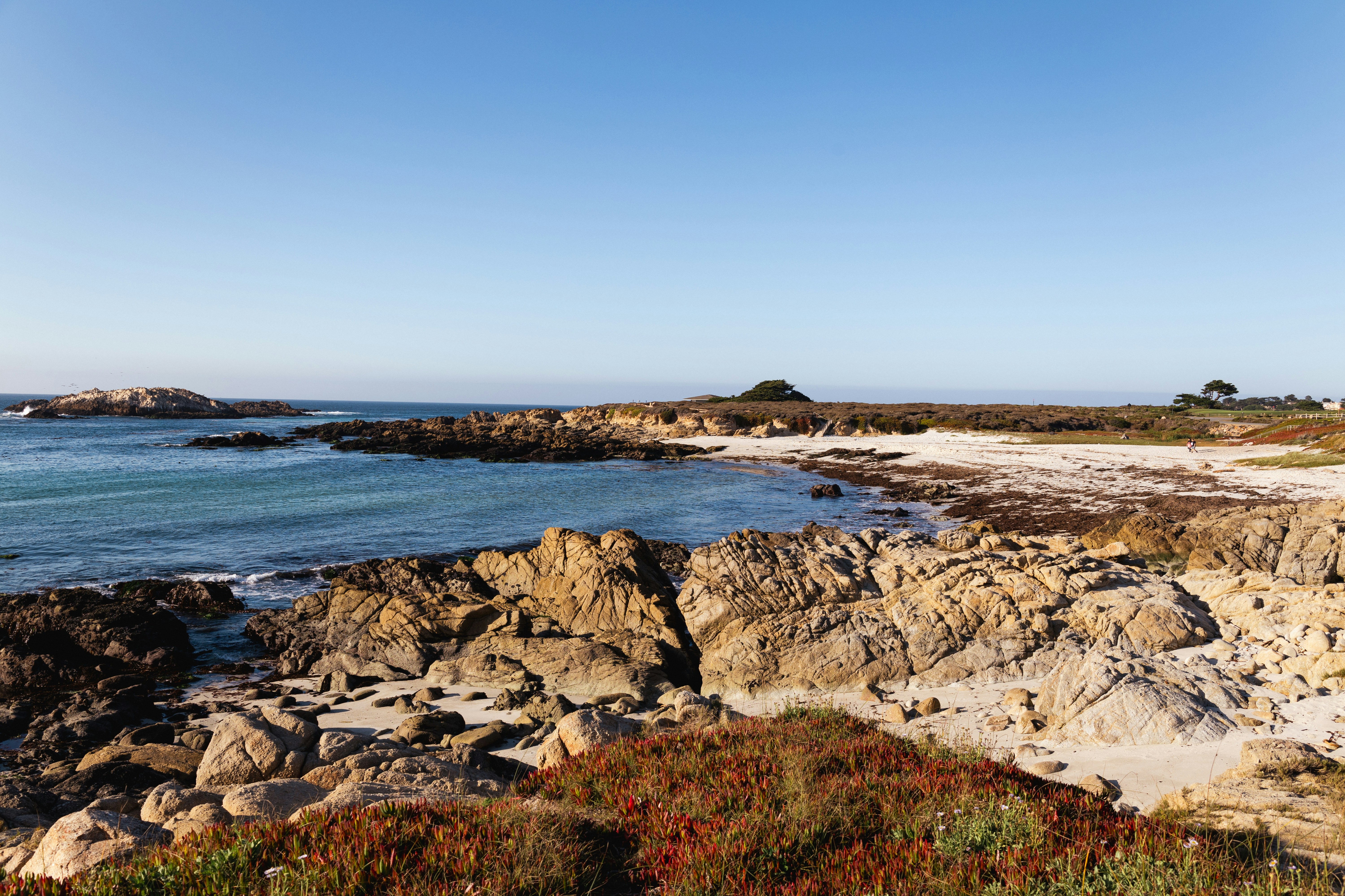 Aerial beach view