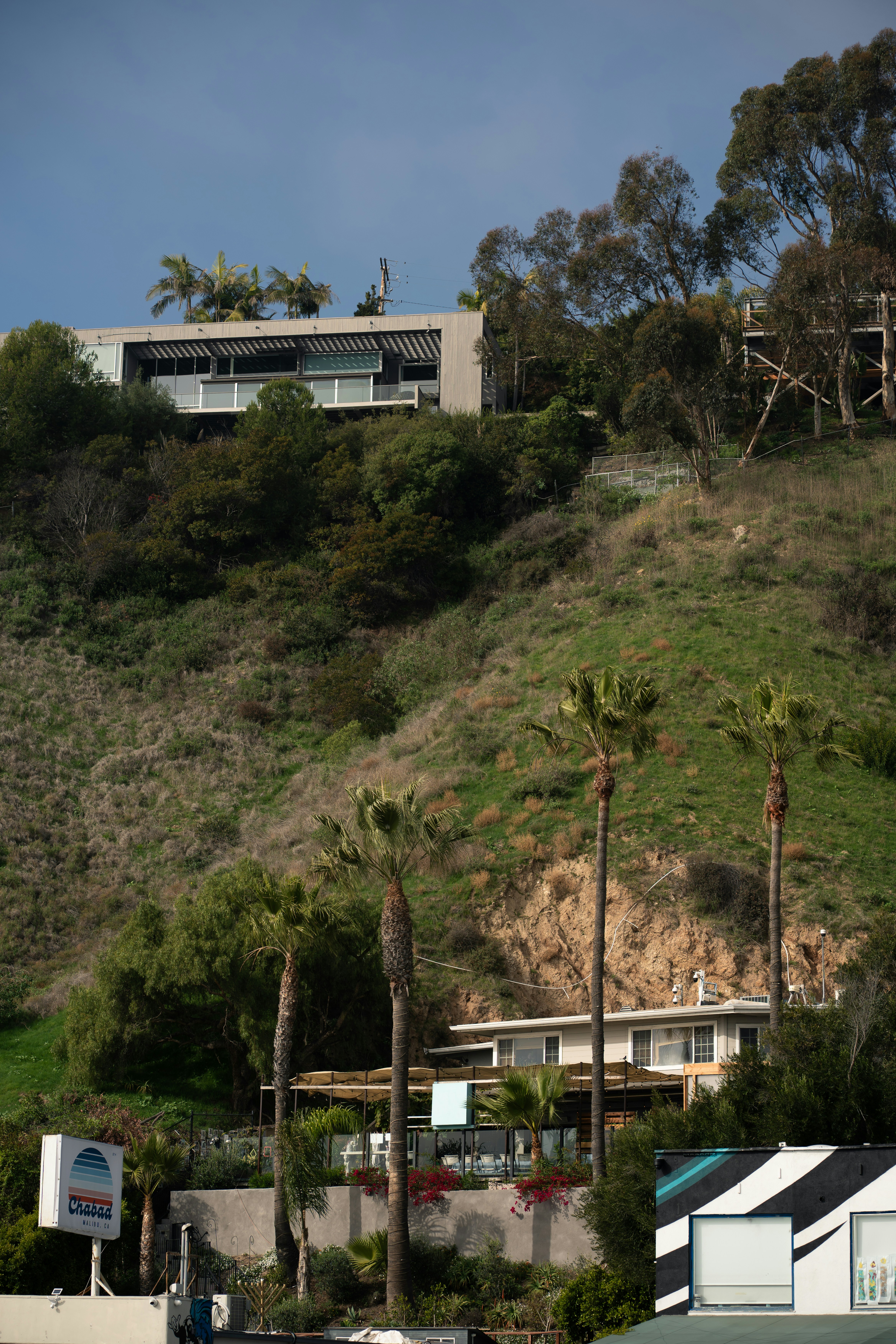 Los Gatos estate